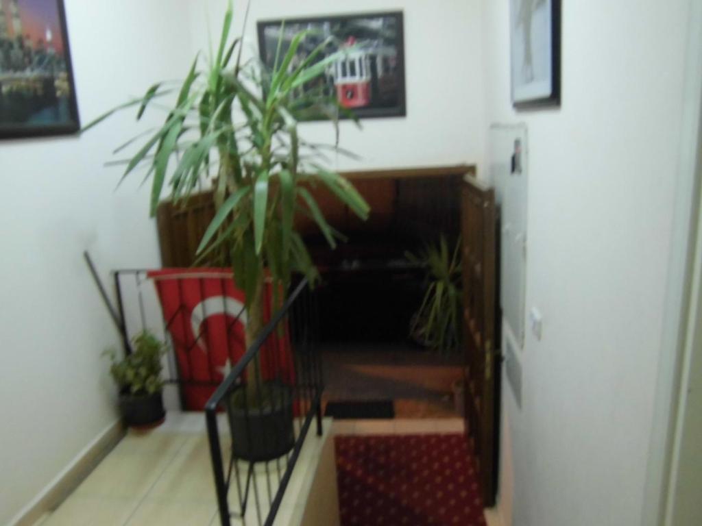Cinar Hotel Antalya Bagian luar foto